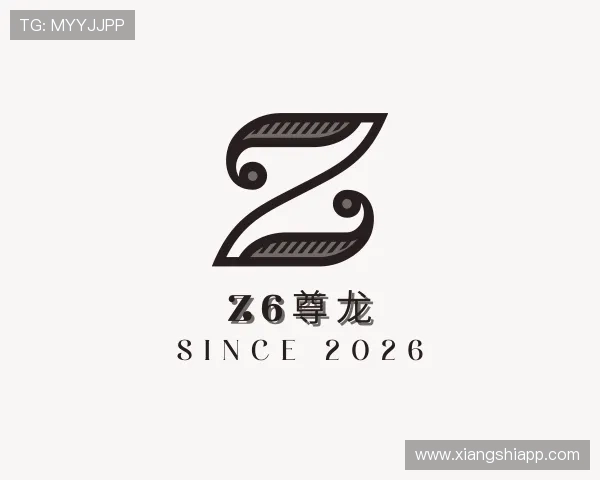 关于Z6尊龙